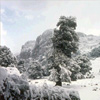 Monte Corrasi